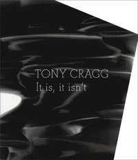 bokomslag Tony Cragg: It Is, It Isn't