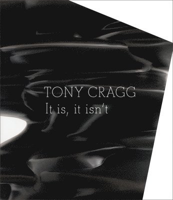 Tony Cragg: It Is, It Isn't 1