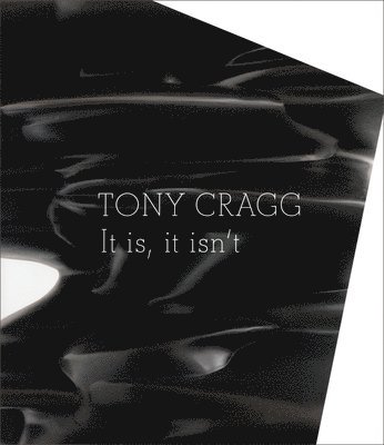 Tony Cragg. It is+ it isnt 1