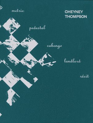 Simon Baier, Yve-Alain Bois, Ann Lauterbach - Cheyney Thompson, Häftad