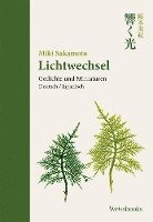 Lichtwechsel 1