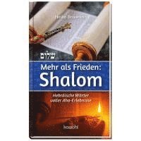 bokomslag Mehr als Frieden: Shalom