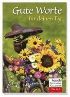 bokomslag Gute Worte für deinen Tag. Postkarten-Buch