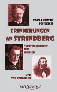 bokomslag Erinnerungen an Strindberg nebst Nachrufen fr Ehrlich und von Bergmann