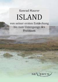 bokomslag Island von seiner ersten Entdeckung bis zum Untergange des Freistaats