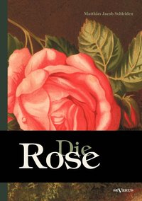 bokomslag Die Rose