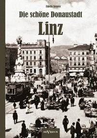 bokomslag Die schne Donaustadt Linz. Historischer Reisefhrer von 1924 in 33 Photographien