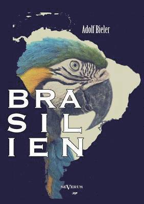 Brasilien 1