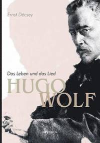 bokomslag Hugo Wolf - Das Leben und das Lied. Biographie