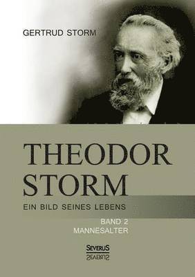 bokomslag Theodor Storm