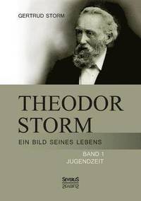 bokomslag Theodor Storm