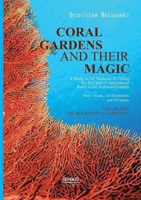 bokomslag Coral gardens and their magic