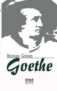 bokomslag Goethe. Eine Biographie