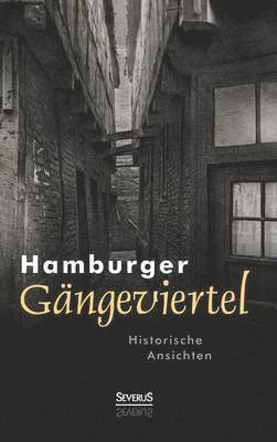 bokomslag Hamburger Gngeviertel. Historische Ansichten