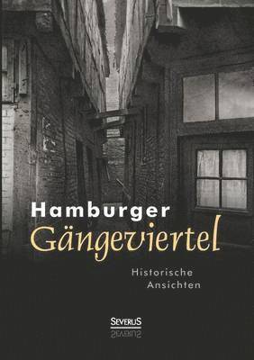 bokomslag Hamburger Gngeviertel. Historische Ansichten