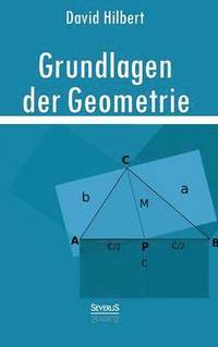bokomslag Grundlagen der Geometrie