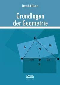 bokomslag Grundlagen der Geometrie