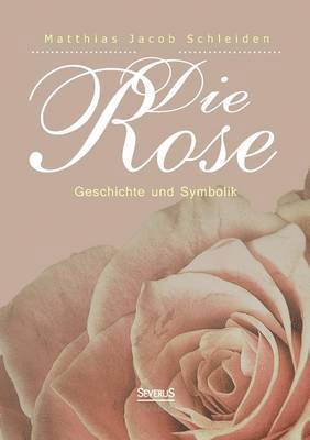 bokomslag Die Rose