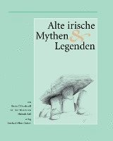 bokomslag Alte irische Mythen und Legenden
