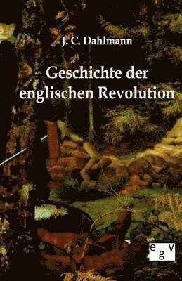 bokomslag Geschichte der englischen Revolution