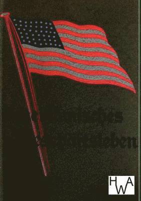 bokomslag Amerikanisches Geschäftsleben