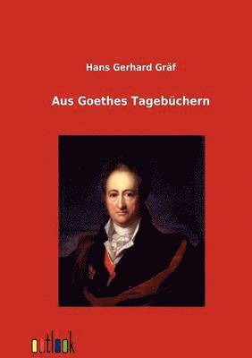 bokomslag Aus Goethes Tagebuchern
