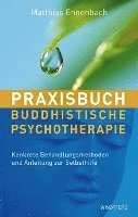 bokomslag Praxisbuch Buddhistische Psychotherapie