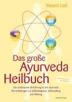 bokomslag Das große Ayurveda-Heilbuch