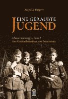 bokomslag Eine geraubte Jugend