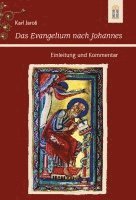 bokomslag Das Evangelium nach Johannes