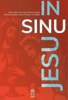 IN SINU JESU 1