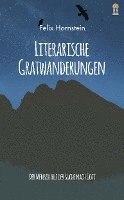 bokomslag Literarische Gratwanderungen