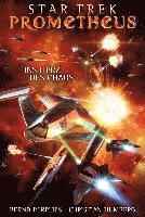 bokomslag Star Trek - Prometheus 3: Ins Herz des Chaos