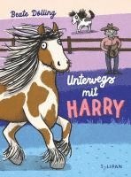 bokomslag Unterwegs mit Harry