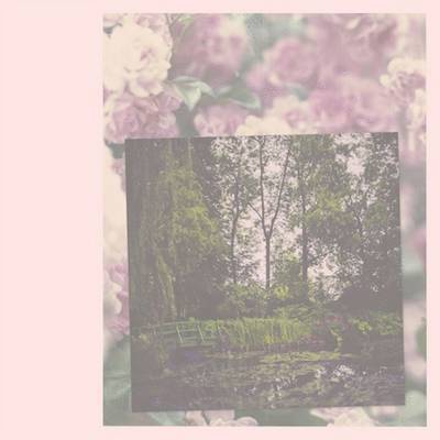 Darren Almond: The Giverny Polaroids
