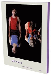 bokomslag Bill Viola: Installations