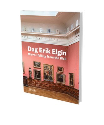 bokomslag Dag Erik Elgin: Mirror Falling from the Wall