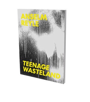 bokomslag Anselm Reyle : Teenage Wasteland