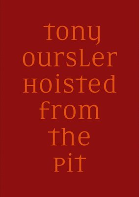 Marina Isgro, Lynn Kost - Tony Oursler. Hoisted from the Pit: Cat. Kunst Museum Winterthur, Häftad
