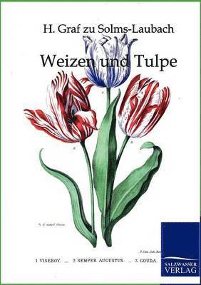 Weizen und Tulpe 1