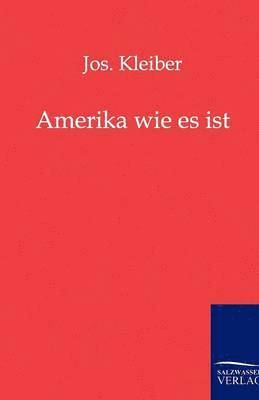 bokomslag Amerika Wie Es Ist