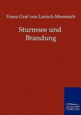 Sturmsee und Brandung 1