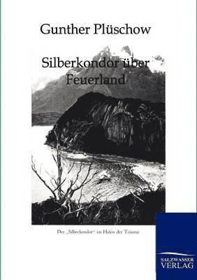 bokomslag Silberkondor über Feuerland