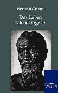 bokomslag Das Leben Michelangelos