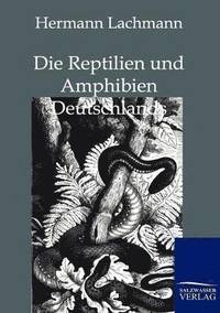 bokomslag Die Reptilien Und Amphibien Deutschlands