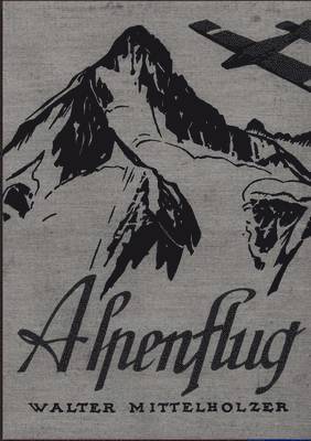 Alpenflug 1