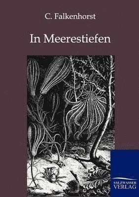 C Falkenhorst - In Meerestiefen, Häftad