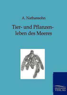 bokomslag Tier- und Pflanzenleben des Meeres