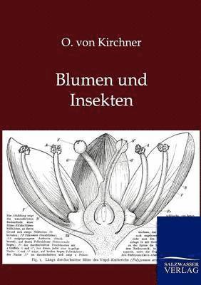 bokomslag Blumen und Insekten