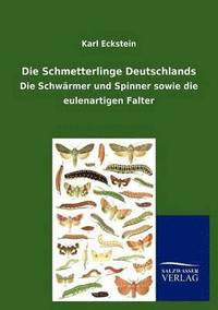 bokomslag Die Schmetterlinge Deutschlands